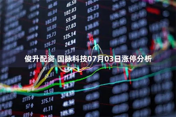 俊升配资 国脉科技07月03日涨停分析