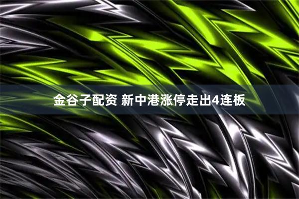 金谷子配资 新中港涨停走出4连板