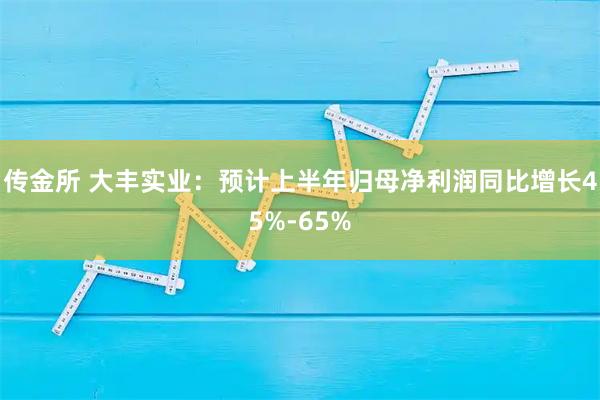 传金所 大丰实业：预计上半年归母净利润同比增长45%-65%