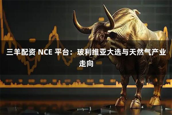 三羊配资 NCE 平台：玻利维亚大选与天然气产业走向
